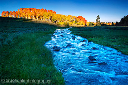 Mammoth Creek , Utah